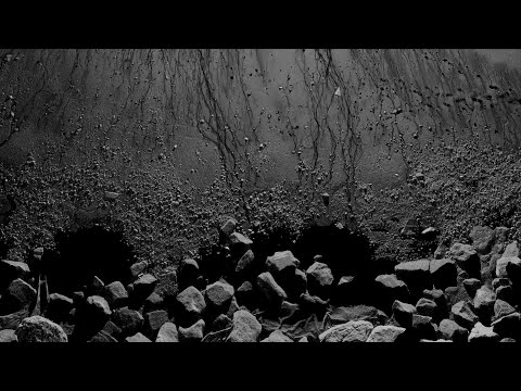 FRAMERATE: PULSE OF THE EARTH trailer | BFI London Film Festival 2022