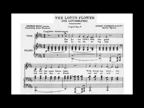Die Lotosblume (R. Schumann) - Db Major Piano Accompaniment - Karaoke