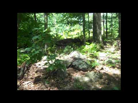 368 Willard St , Leominster, MA 01453