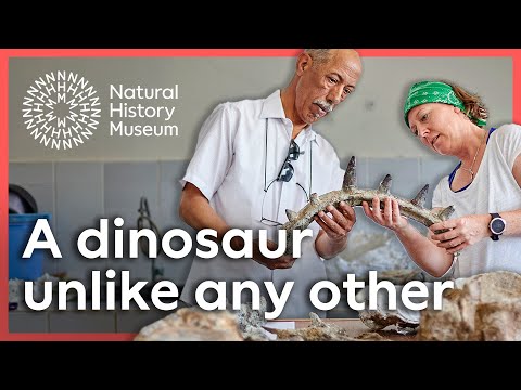New dinosaur is unlike anything we've ever found | Unique armoured dinosaur discovered in Morocco