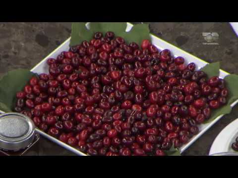 Ne Shtepine Tone, 12 Stator 2017, Pjesa 3