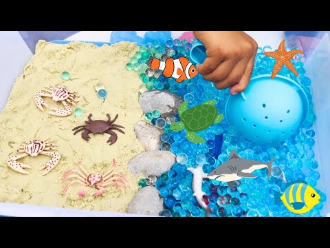 Fun Sea Animal Toys In Water Beads and Sand | Crabs, Sharks, Sea Turtle and more toys!
