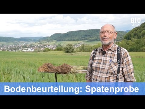 Die Spatenprobe: Bodenbeurteilung im Feld (Aug 2016)