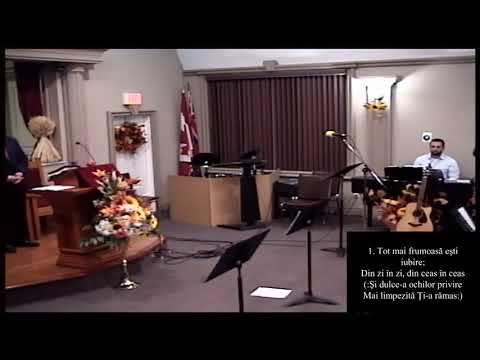 Nov 8 2020 PM Mihai Cabau - 1 Timotei 1:18-19