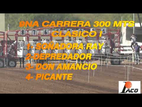 DON AMANCIO HIPODROMO DON SOHAR CRUZ DEL EJE 05 06 2022