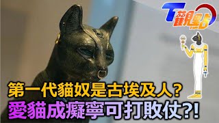 [問題] 可愛的動物多有殺傷力？