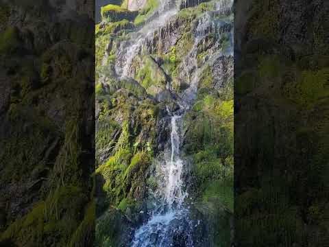 Inna Di Water💧/ Inna Di Faya🔥 - Earthical Mind Dub (Reggae)