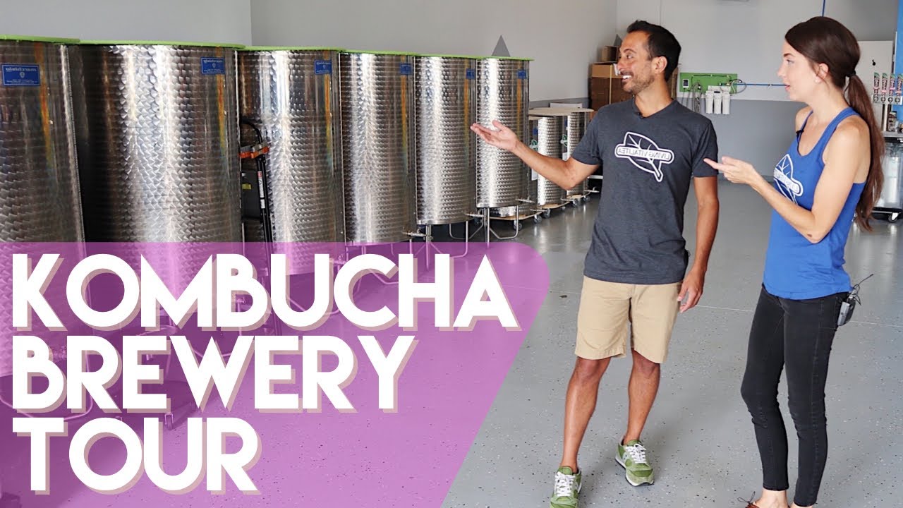 Kombucha Brewery Tour - How Kombucha is Made - YouTube