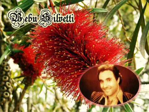 LLUVIA MUSICAL CON... BEBU SILVETTI