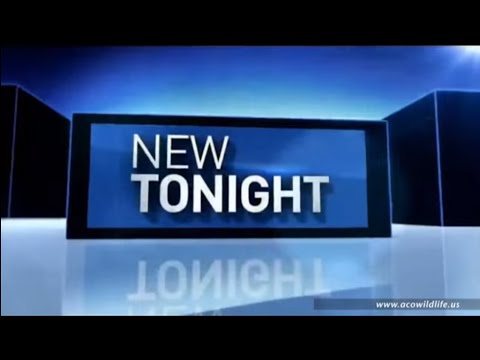 ACO USA Amphibientunnel/Wildlife Turtle Tunnel