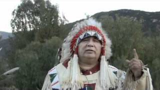 Chief Calls for World Prayer to Save the Whales and Dolphins