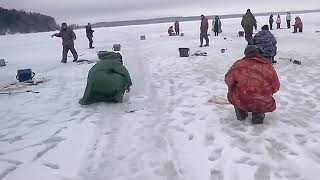 Ссылка