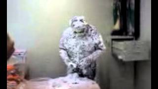 Cumple de allan el abominable hombre de las nieves