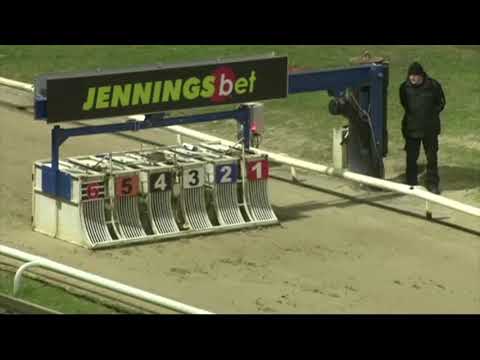 Carreras de Galgos - Central Park 2023 - 🇬🇧