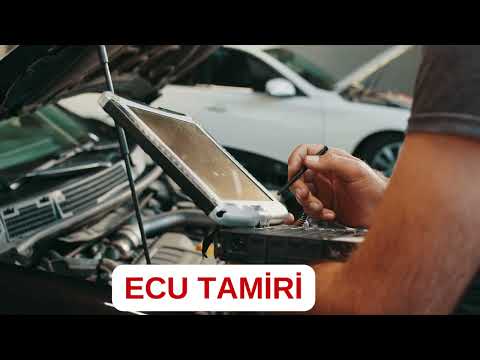 Video Galeri