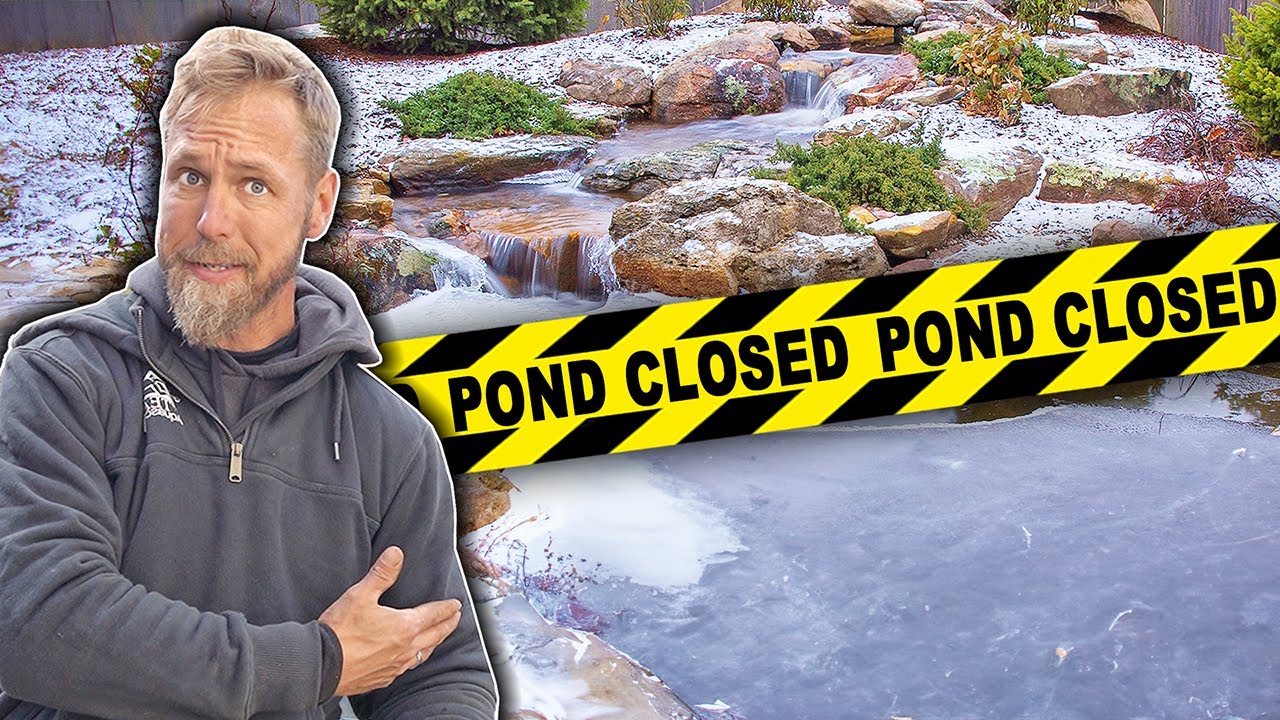 BEST Reasons WHY To Winterize Your Pond