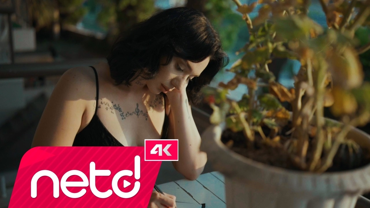 Meltem Leylekoğlu - Sardunyalar