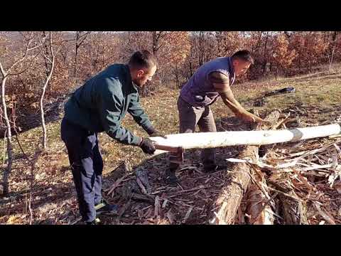 O noua zi la Cabana din poienița 🛖