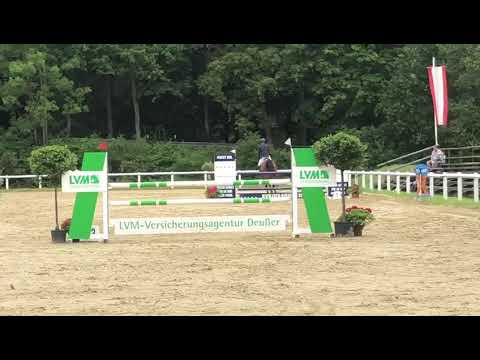 MRS MALOU, *2013, Holsteinerstute v. Magnus Romeo