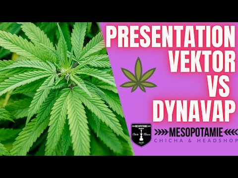 VEKTOR, LA DYNAVAP RUSSE EN TITANE