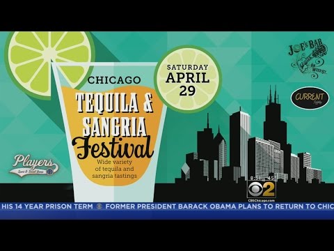 download lagu mp3 mp4 Tequila Festival Chicago, download lagu Tequila Festival Chicago gratis, unduh video klip Tequila Festival Chicago
