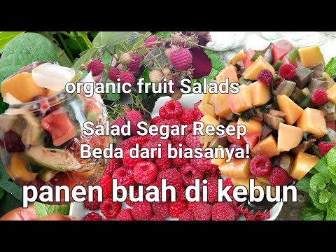 Panen Buah Raspberry Bikin Salad Buah Segar Nikmat | Healthy Fresh Fruit Salads Recipe