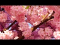When Spring Comes