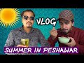Summer in Peshawar By Peshori Diaries l Peshori vines