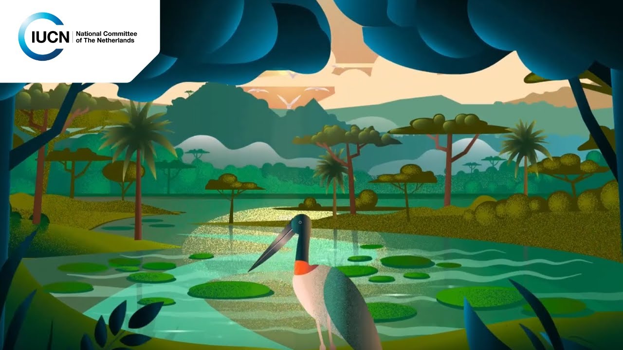 IUCN NL Explainer | What is the Landscape Approach?