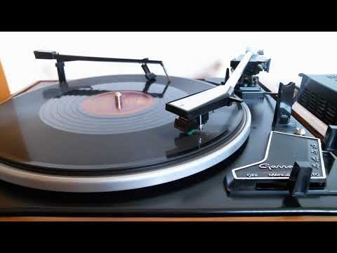 Frankie Carle - Runnin' Wild  (78rpm - 1947)