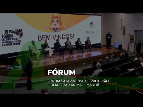 Matéria da TV Alesc sobre o Fórum Catarinense de Proteção e Bem-Estar Animal