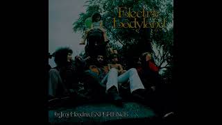 The Jimi Hendrix Experience - ...And The Gods Made Love ' Have You Ever Been... [5.1 Surround Sound]