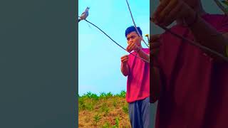 Download lagu PIKAT TRUCUKAN SUPER GACOR BY.smstachanel mp3 Download lagu PIKAT TRUCUKAN SUPER GACOR BY.smstachanel mp3