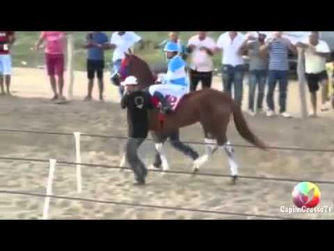 Final Do II GP HARAS GRUPO PEREIRA CAPIM GROSSO-BA