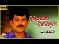 Mandha Velliyele Video Song In Atha Maga Rathiname Movie Selva Ranjitha Tamil Video Song