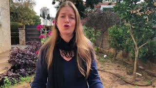 מתחדשת בוידאו בלוג