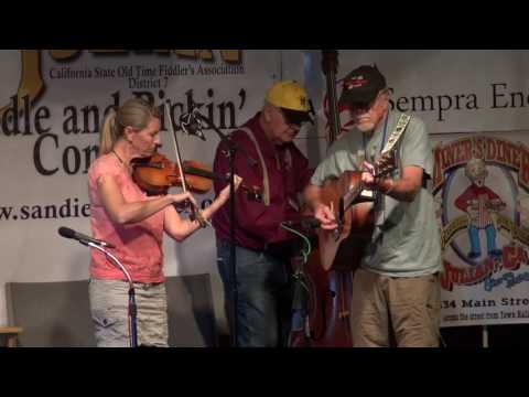 2016-06-05 Adult2 Maril Parker - 2016 Julian Fiddle Contest