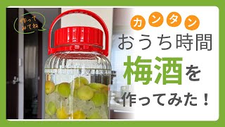 【クラフト酒】旬の梅が手に入ったので梅酒作ってみた！