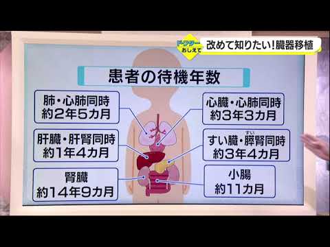 臓器提供 - 定義