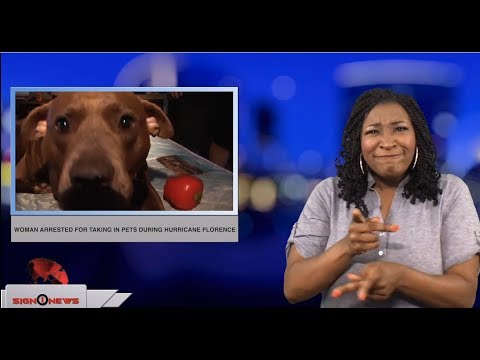 Woman arrested for taking in pets during Hurricane Florence (ASL - 9.26.18)
