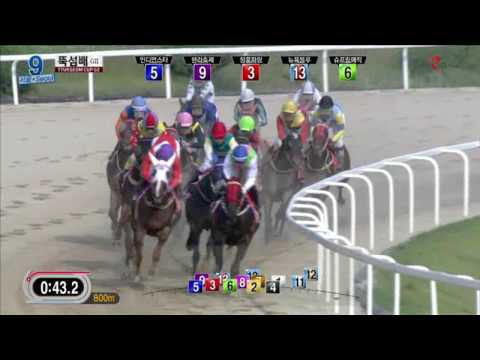 2016 Ttukseom Cup -1400m (US$400,000) (KOR G2)