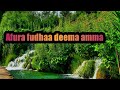 Walaloo Bareedu Intaltti Oromo Warqiidha Itti Dhihaadha Oromo