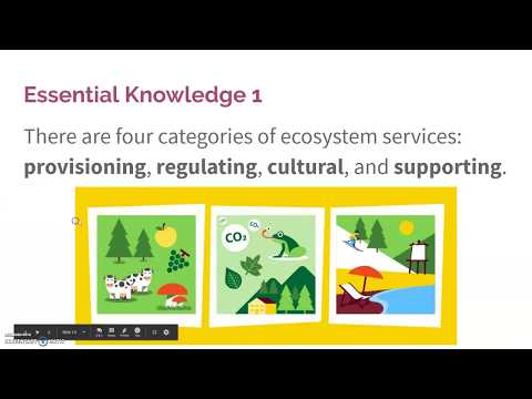 2.2 Ecosystem Services