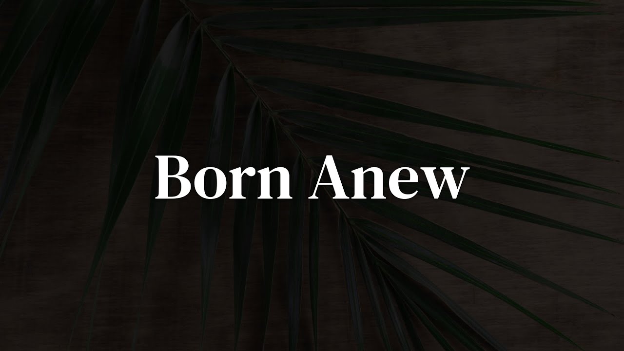 Born Anew