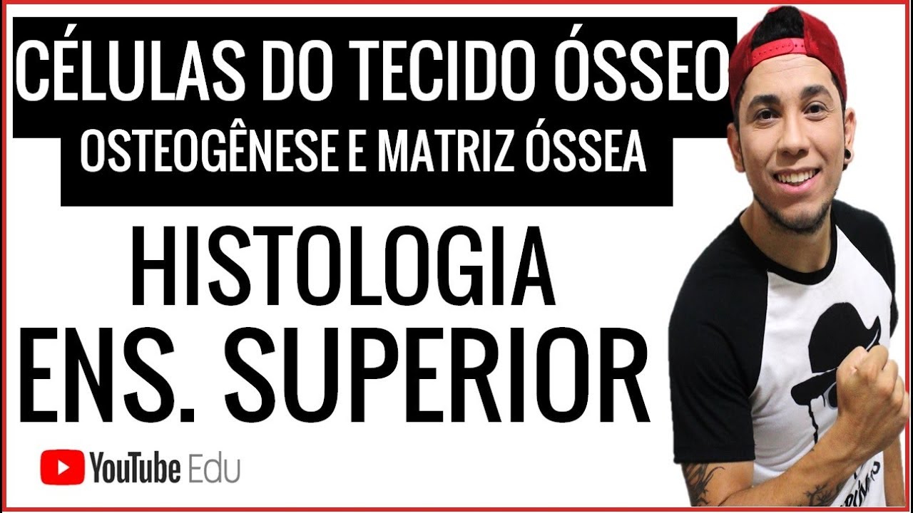 Células do Tecido Ósseo, Osteogênese e Matriz Óssea - AULA ENSINO SUPERIOR - Prof. Patrick Gomes
