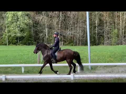 Valkyria från Fors Gård/ Gunilla Nordqvist T8