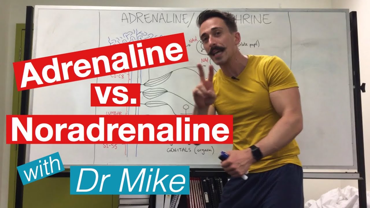 Adrenaline versus Noradrenaline | epinephrine versus Norepinephrine