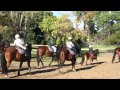 Gunnamatta Trail Rides, Mornington Peninsula, Victoria Australia