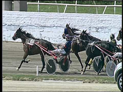 Trotto 06/05/2016 - 2° Corsa