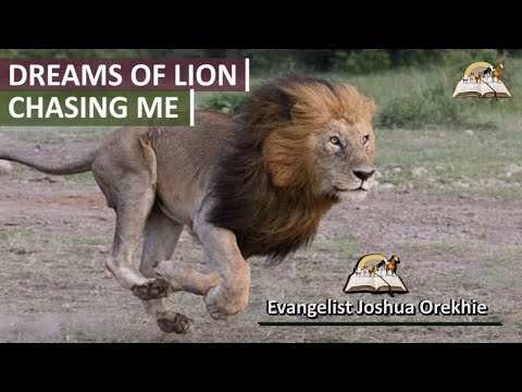Dream Of A Lion Chasing Me - Prophetic Dreams About Lions